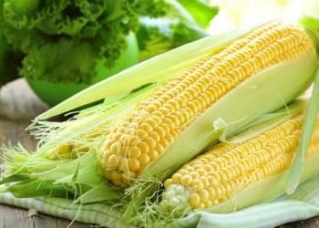 Кукурудза: склад, користь, шкода, рецепти