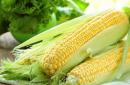 Kukuřice: složení, výhody, poškození, recepty